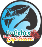 LOS CABOS EXPERIENCES